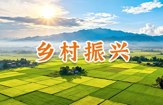 13227000693 继续了解